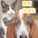 猜猜我是谁？