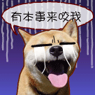 有本事来咬我