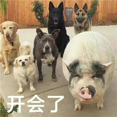 好气又好笑的表情2022 让我掂掂你几斤几两