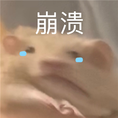 网络最火的表情热门好看 抖音上很好笑的欢乐表情合集