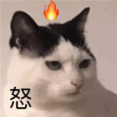 超好笑爆好笑的幽默表情 让你嘴巴合不拢的爆笑表情合集