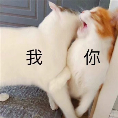 超好笑爆好笑的幽默表情 让你嘴巴合不拢的爆笑表情合集