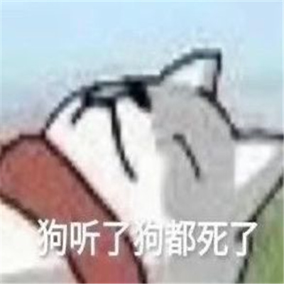 史上最逗比的表情最新2022 那我就给你一个哄我的机会好了