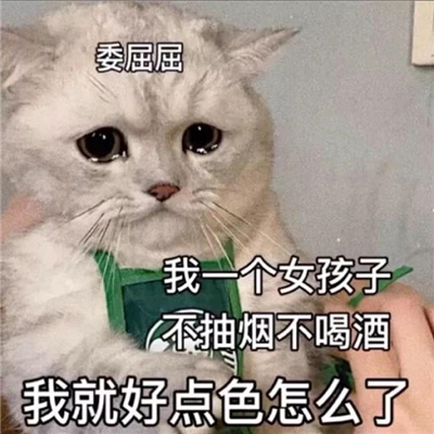 超级可爱非常开心的表情 捡捡垃圾随便吃一吃