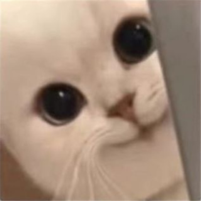 给我们带来很多欢乐的表情最新 被蛮不讲理击倒在地