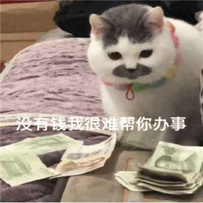 让你瞬间变的开心起来的表情 你就当我提前死了吧