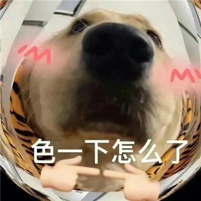 给我们聊天带来无限乐趣的表情 这组表情都好喜欢呀