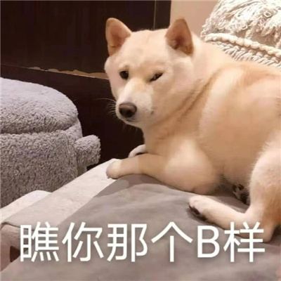 用来嘲讽别人的狗狗表情 让我看看你有几分几两
