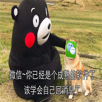 最新版实用潮流的熊本熊表情 查岗核酸做了吗