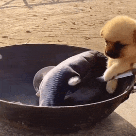 2023私藏的搞怪的动态表情最新 幽默又搞怪的gif表情合集