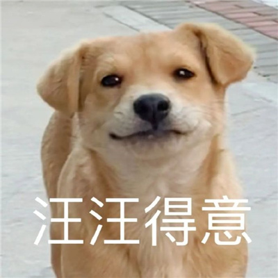 逗人开心又撩人表情包 我叫你一声老婆你敢答应吗