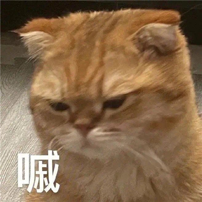 逗人开心又撩人表情包 我叫你一声老婆你敢答应吗