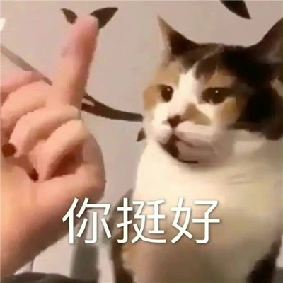 让人一秒就笑的表情包 有惊无险又到五点