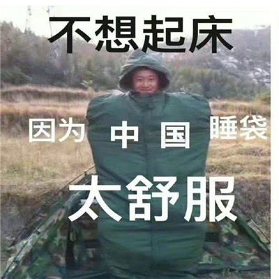 聊天不缺素材的表情包 我没有理想我就整天幻想