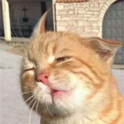 适合用来评论的表情最新 评论专用表情大全