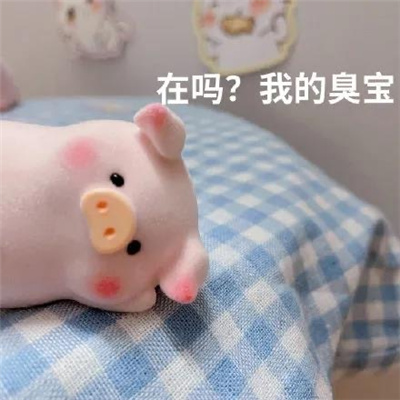 万能聊天表情超级好笑又很简单 别问问就是在思考人生