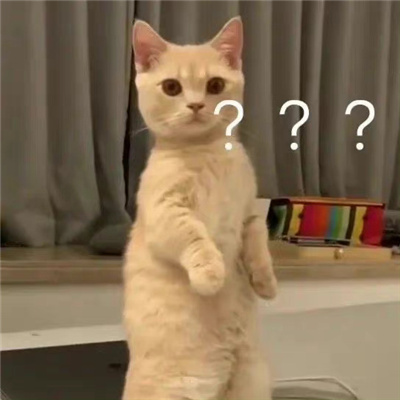 很欢乐的微信萌宠表情 我的热情有限你好自为之