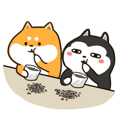 我们在一起嗑瓜子