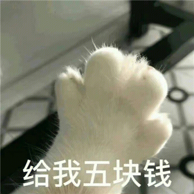 让你开心一整天的幽默表情 哈哈哈哈哈肾虚仔