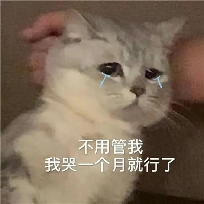 近期爱用的表情很火热 不用管我我哭一个月就行了