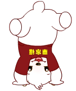 双手倒立的华家福小熊