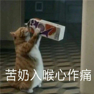 爆火的好笑表情最新合集 你吃野菜不