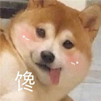 涩涩系列表情包老司机专属 开启涩涩模式我滴宝