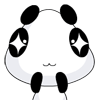 天真傻傻的熊猫娃