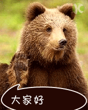 动物版招手问候，大家好