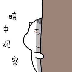 躲起来暗中观察