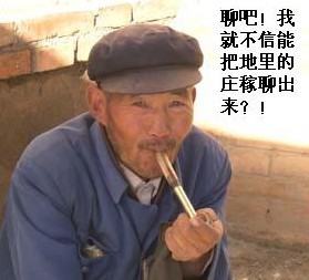 聊吧，我就不信能把地里的庄稼聊出来