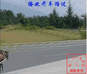 俺开着驴车路过
