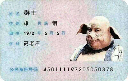 群主的猪八戒身份证