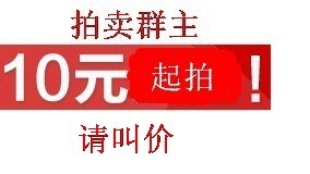 拍卖群主，10元起价