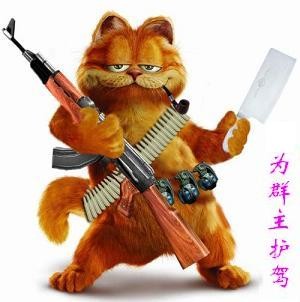 咖啡猫扛枪为群主护驾