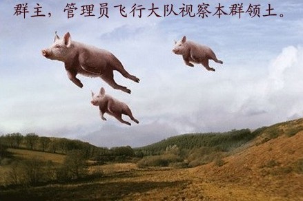 群主管理员飞行大队视察本群领土