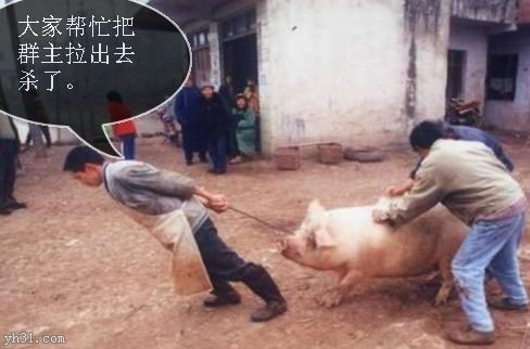 大家来帮忙，把群主拉出去杀了
