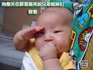 向群里整天装死的兄弟姐妹们致敬