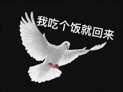 我吃个饭就回来