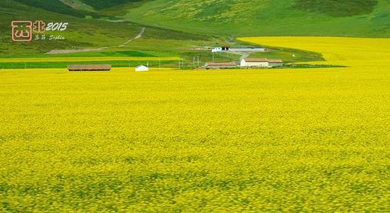 微信头像自然森林_第3页