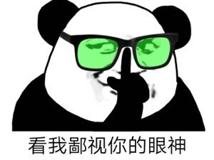 给你看看我鄙视你的眼神