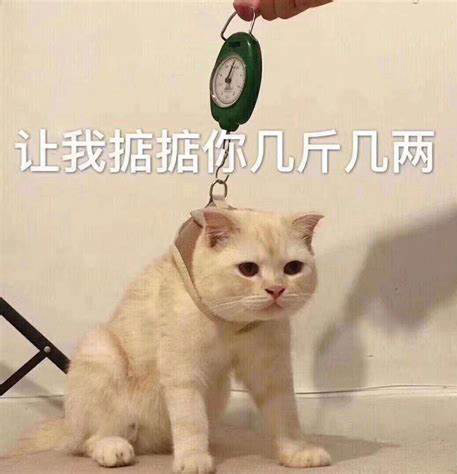 让我掂掂你有几斤几两？
