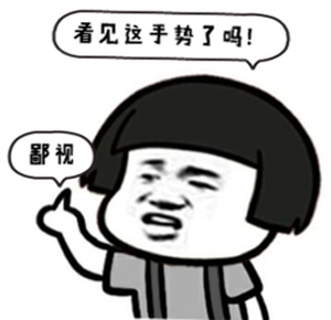 看见这手势了吗？我深深的鄙视你