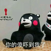 妈呀，你的傻吓到我了