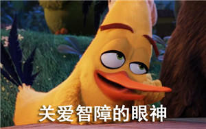 这是关爱智障的眼神