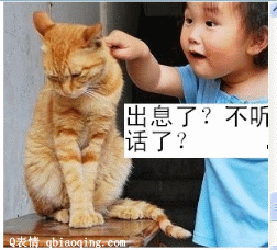 长出息了，敢不听我话了