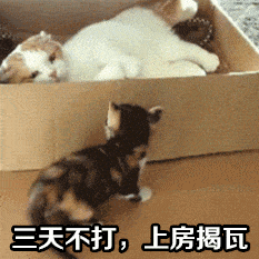 三天不打，你要上房揭瓦