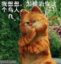 想想应该怎么治你这个鸟人