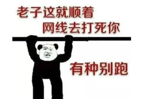 有种别跑，老子就顺着这根网线过去打你