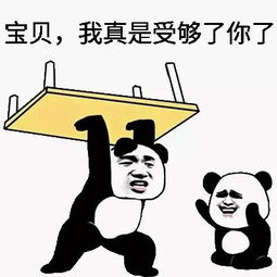 宝贝，我真是受够你了